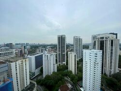The Tate Residences (D9), Condominium #555685541
